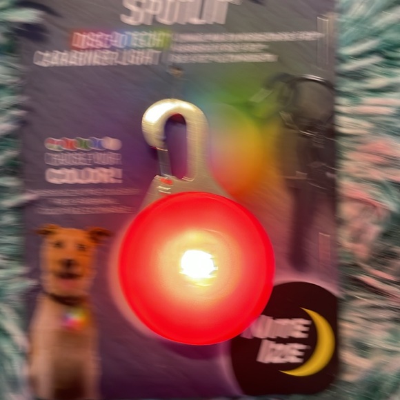 SpotLit - Picture 10 of 11